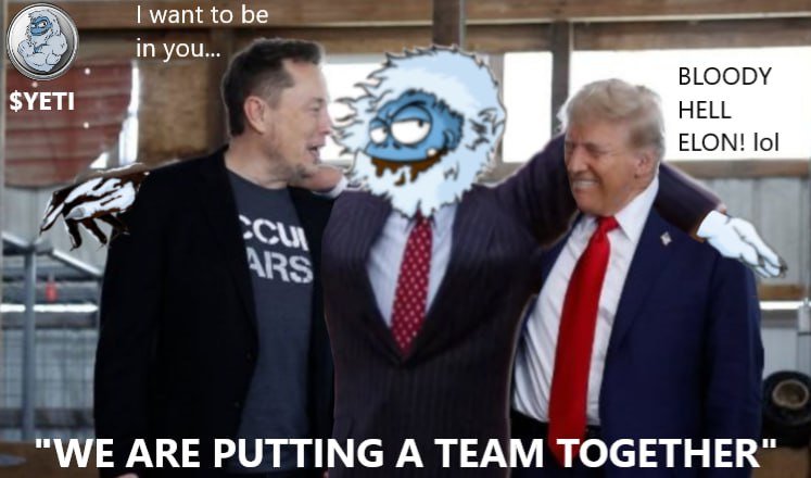 $YETI Token tweet media
