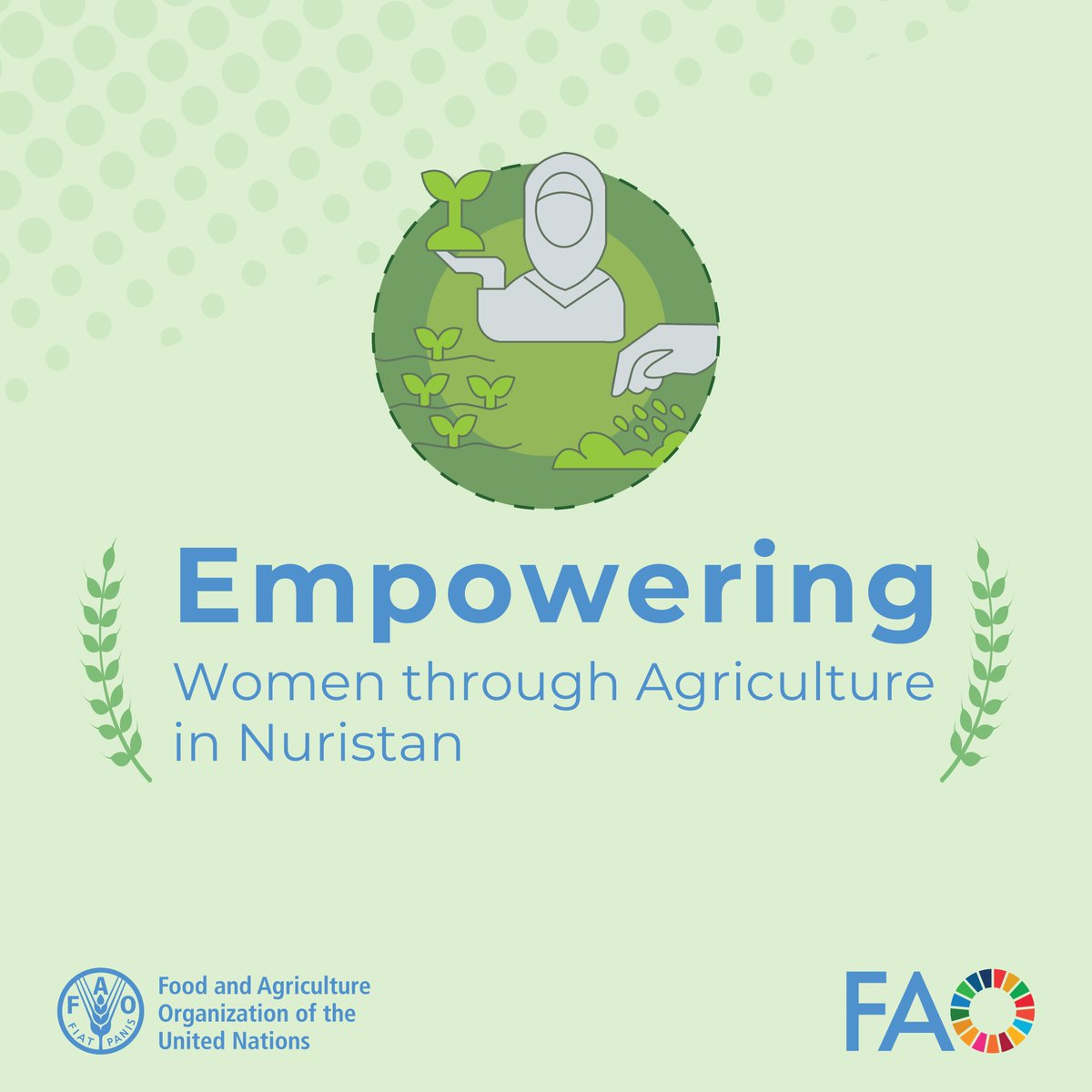 FAOAfghanistan's tweet photo. With support from @USAID, @FAO provided home gardening tools and seeds to 2 335 female-headed families in #Kamdish, #Bargimatal, #Dowab, &amp; #Mandol.
Additionally, 385 women received mushroom cultivation kits🍄to boost food &amp; nutrition. https://t.co/BovmLG22x6