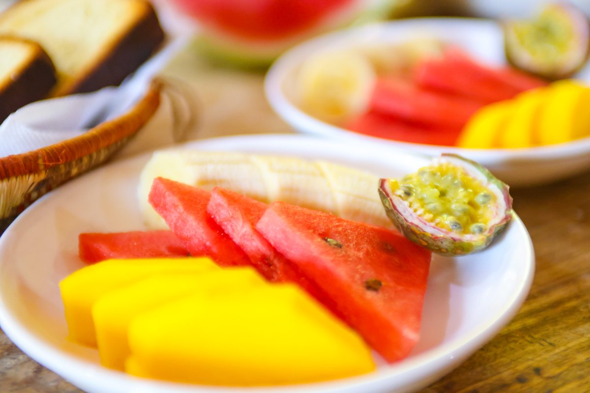 CTPH Gorilla Conservation Camp tweet media