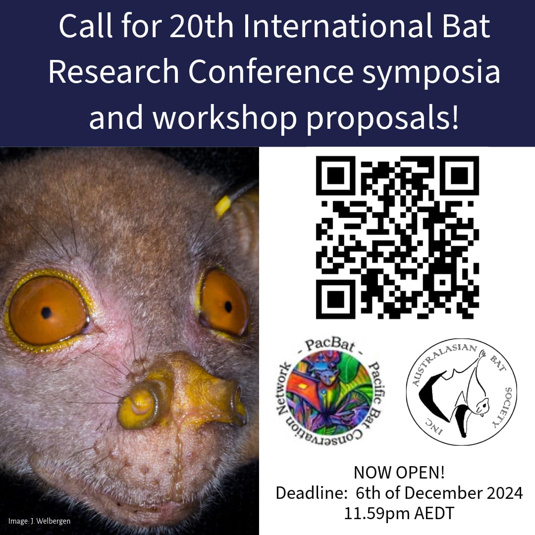 Pacific Bat Conservation Network tweet media