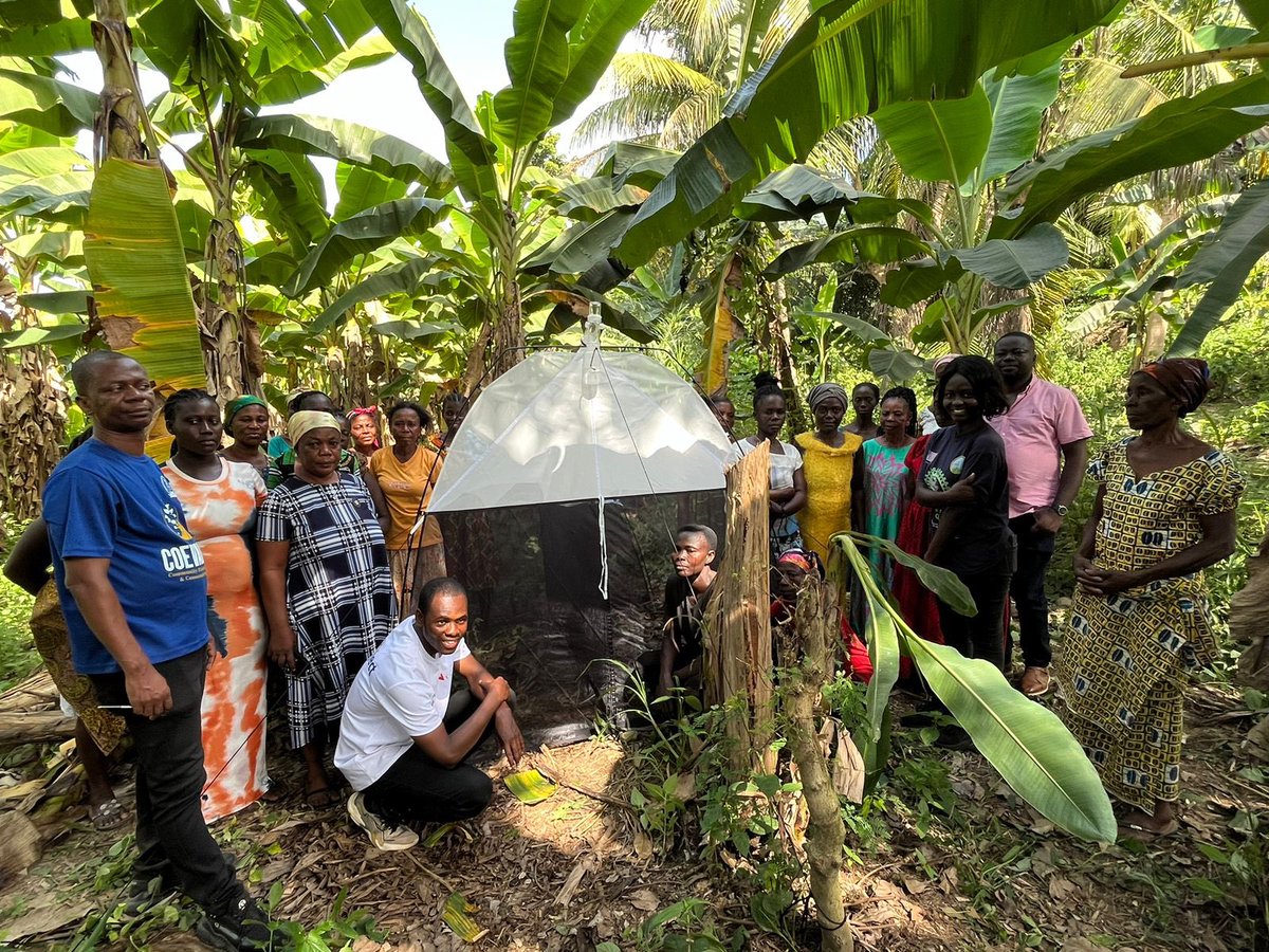 acdblab's tweet image. Progress update from Lake Bosomtwe: Malaise Traps are now in place in Atafrom and Duase! Collecting crucial biodiversity data to help guide conservation and sustainability efforts. #BiodiversityData #NbSProject