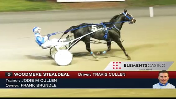Woodmere_Stealdeal tweet media