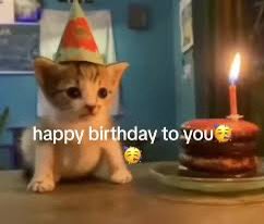 Goteboi_Draws's tweet image. happ birf ❤️