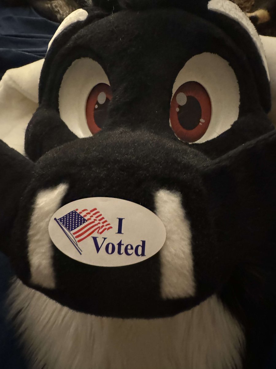 So I did this Yesterday. I don't even know what to think now. 
But It was important to vote.