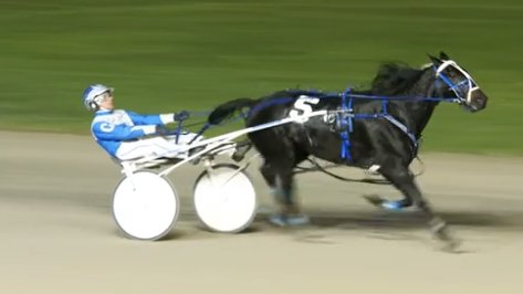 Woodmere_Stealdeal tweet media