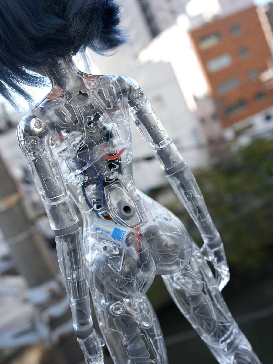 Smartdoll Land tweet media