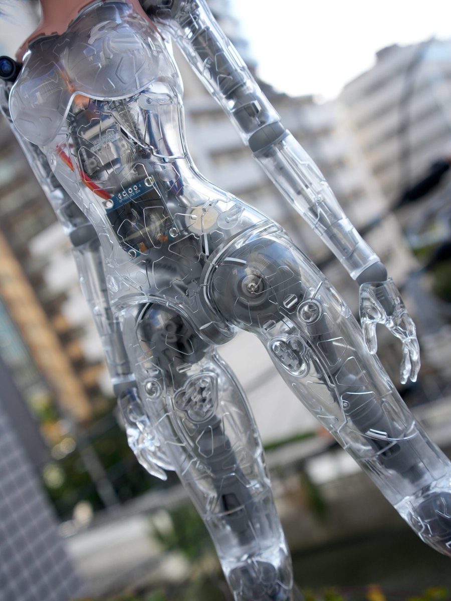 Smartdoll Land tweet media