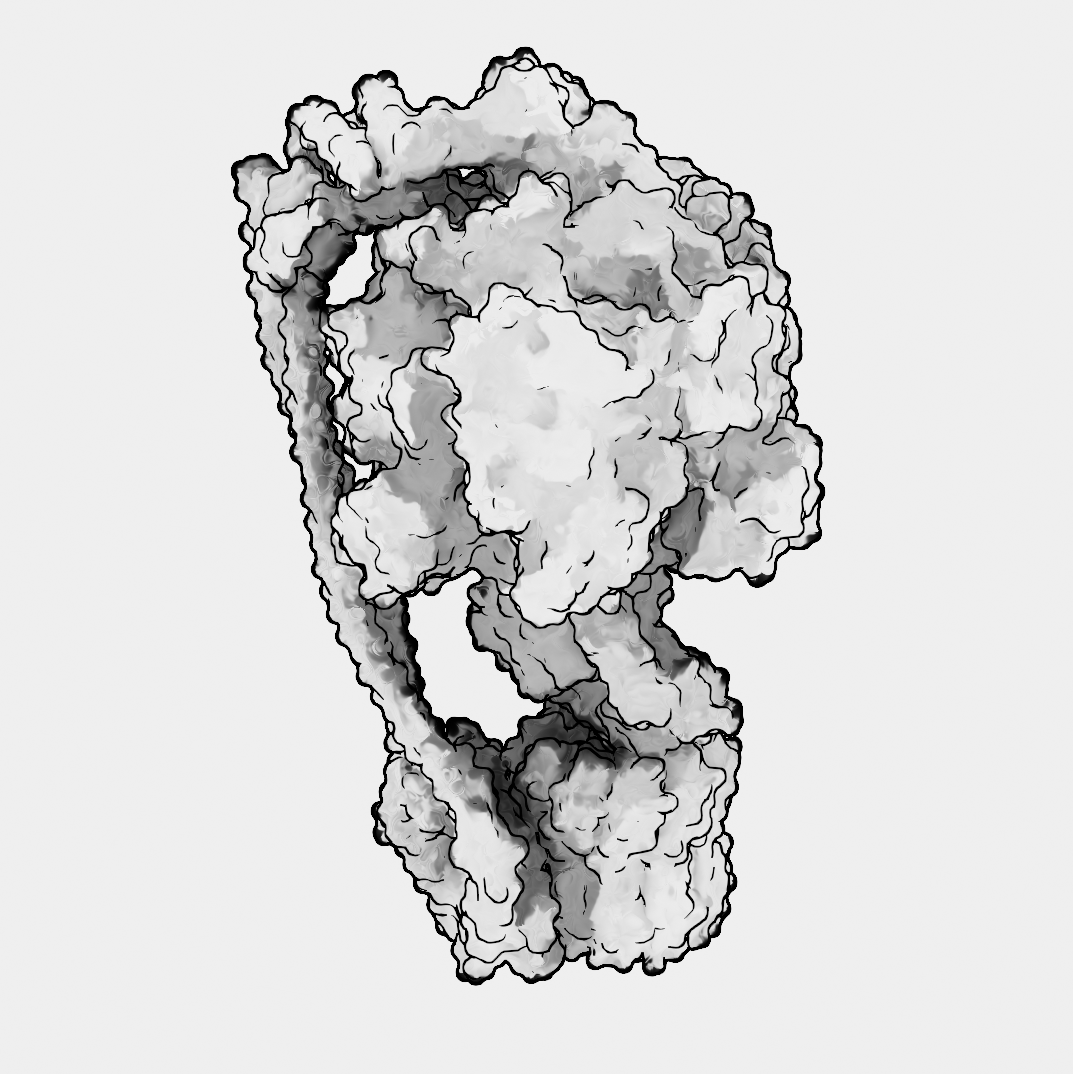 bradyajohnston's tweet image. New favourite protein rendering style unlocked #MolecualrNodes #b3d #GeometryNodes