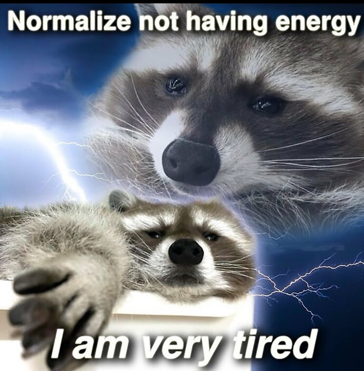 raccoonesthetic's tweet photo. https://t.co/CVRzQ5B26e