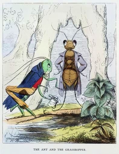 BirugdercTheBaleful tweet media