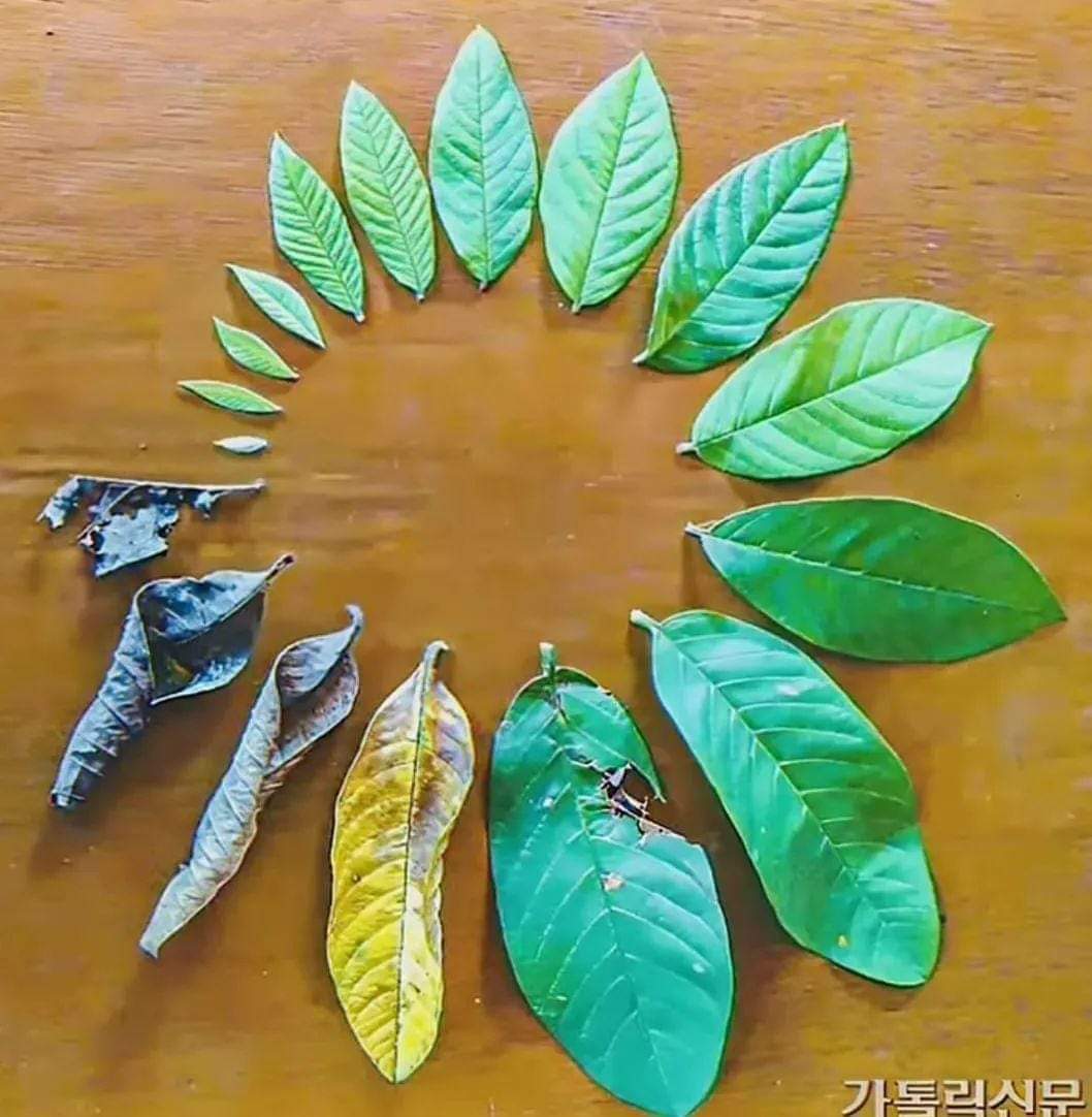 Sherawat2306's tweet photo. मृत्यु ही अंतिम सत्य है.... इसलिए जीवन का आनंद लीजिये 💯💯💯✨✨✨
#लोक_आस्था
#Positive_Mindset https://t.co/eq1axPK9dw
