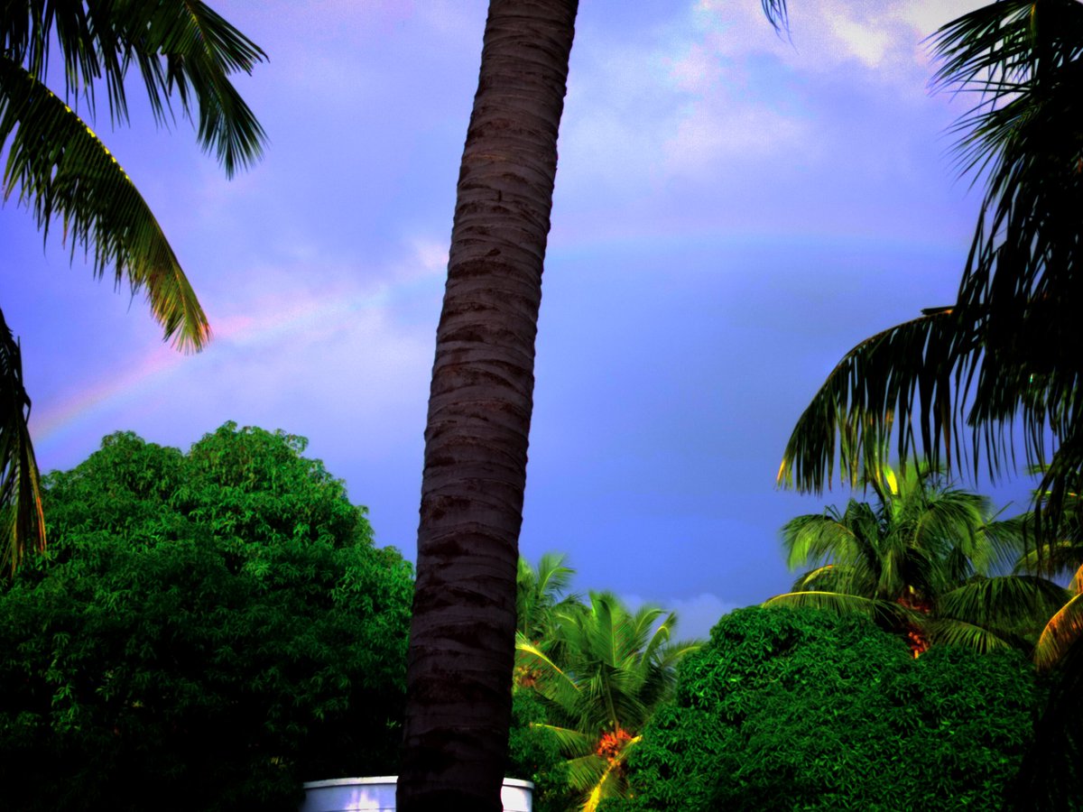 PRspacess's tweet photo. Happy rainbow morning! 🩷☺️
Good start for the day today!!
#PRclickss https://t.co/VoyL4KrU33