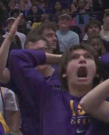 aydrew22's tweet photo. @LSUBasketball @jayreedd https://t.co/GOJOnn3B8X