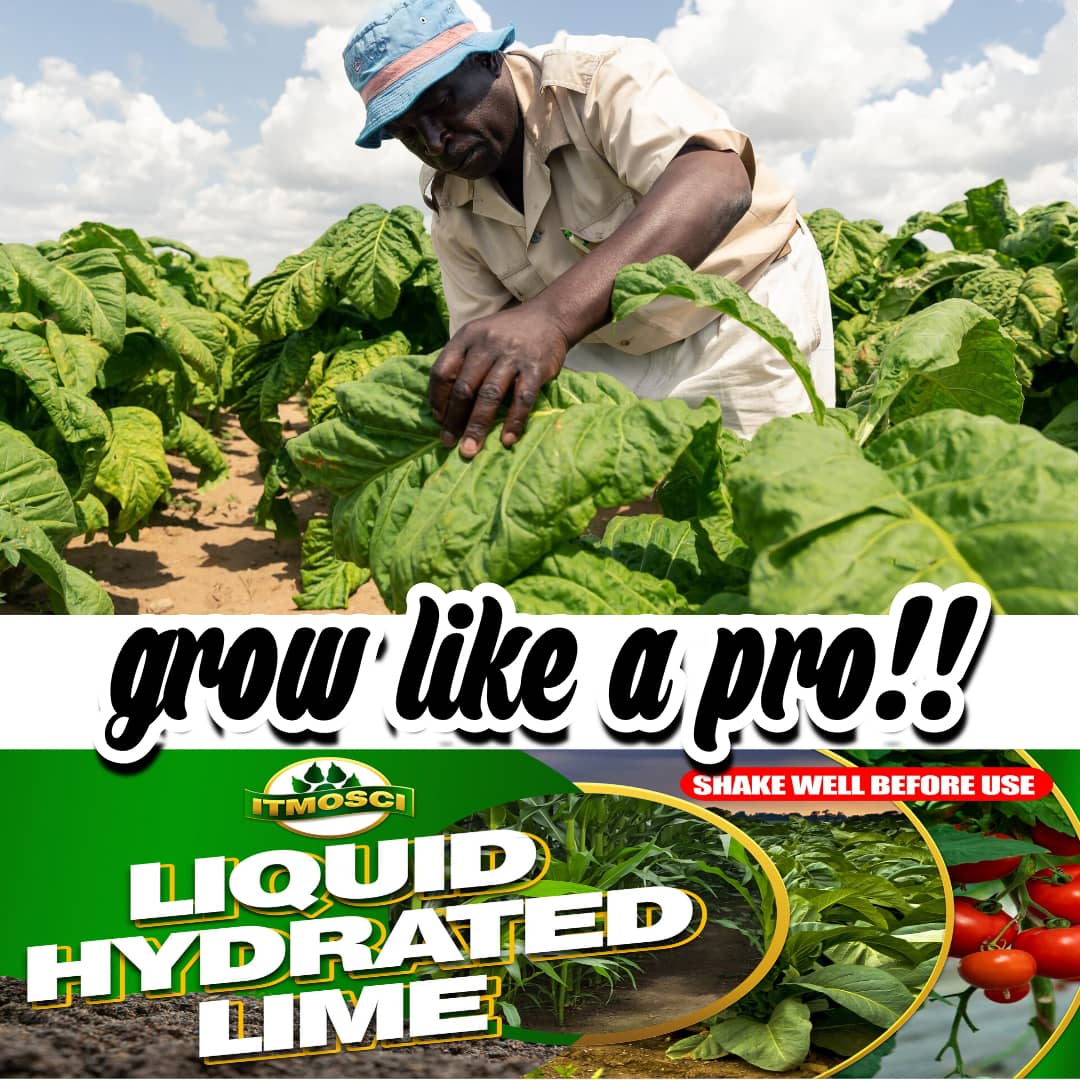 Available nationwide, call 0652327395 or WhatsApp 0776 752 307.