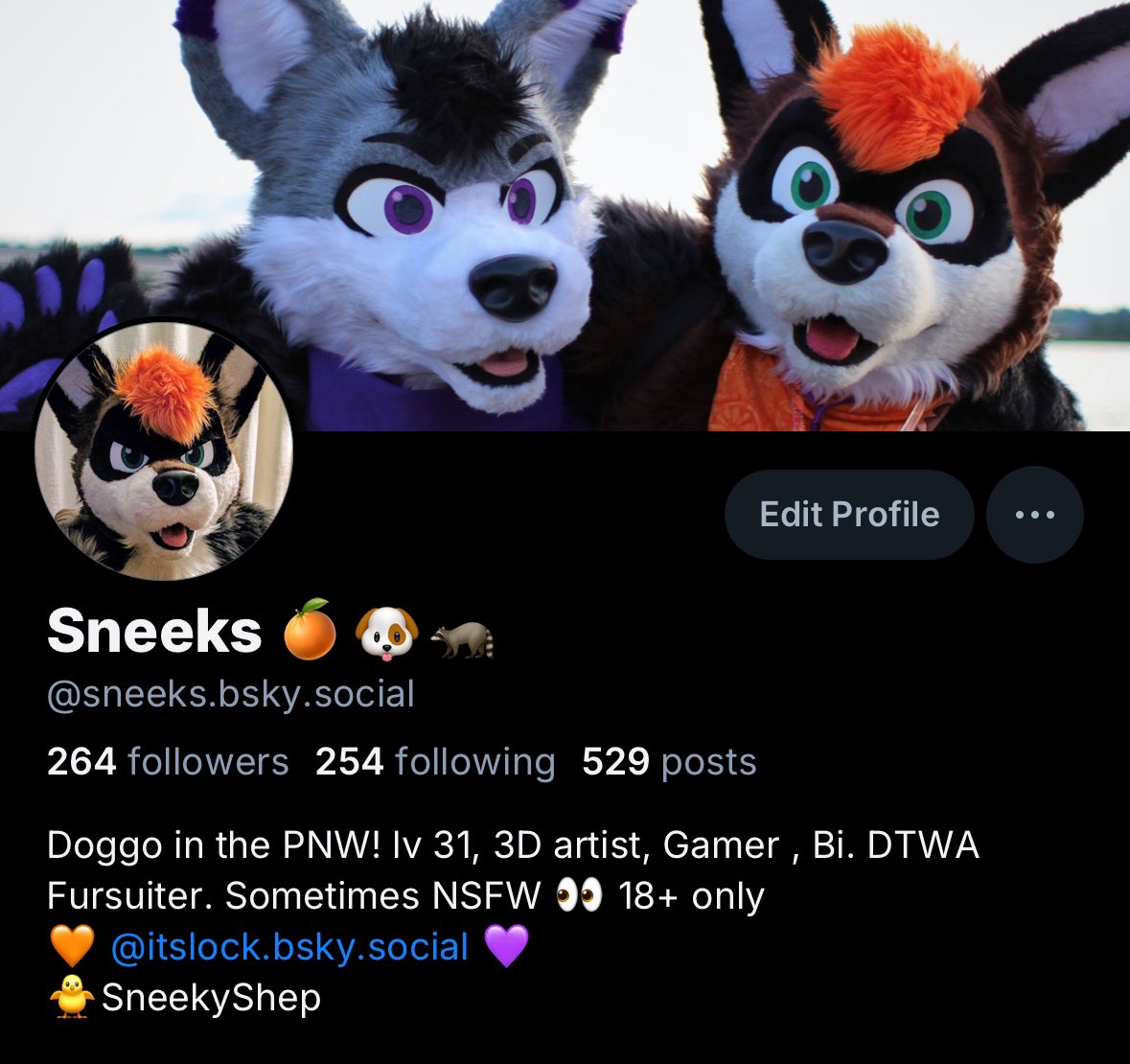 SneekyShep's tweet photo. Goes without saying, but just to reiterate, gonna be moving over to 🦋, I would be very grateful if you follow me there (except tr*mp*rs y’all can f*ck off). I’ll be locking this account sometime soon, and only remain here to keep the username away from imposters. https://t.co/EKjzApFm9o