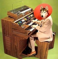 Nocturntable (@nocturntable) on Twitter photo 