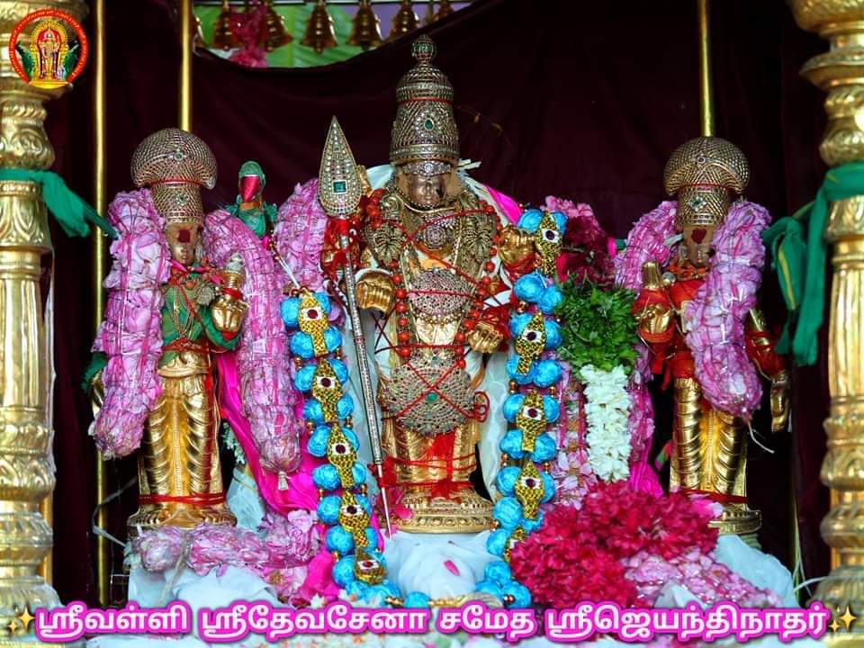 #திருச்செந்தூர் #கந்தசஷ்டிதிருவிழா 
#சூரசம்ஹாரம்
#kanthashasti
#Surasamharam

பக்தர்களை
அன்புடன் வரவேற்கின்றோம்

திருச்செந்தூர் #தேவேந்திரகுலவேளாளர் அறமடங்கள் 
<a href="/sgurumurthy/">S Gurumurthy</a>
<a href="/AnanthAyyasamy/">Ananthan Ayyasamy</a>
<a href="/vhsindia/">Virat Hindustan Sangam</a> <a href="/Rajan_ptt/">rajanptt</a> <a href="/hindumunnani_tn/">Hindu Munnani</a> <a href="/ArunpandianA4/">Er.Arunpandian Kudumbanaar</a> <a href="/tnhrcedept/">TN HRCE</a> <a href="/thannarva/">THEVENDRAR THANNARVA ARAKKATTLAI</a> <a href="/Swamy39/">Subramanian Swamy</a>