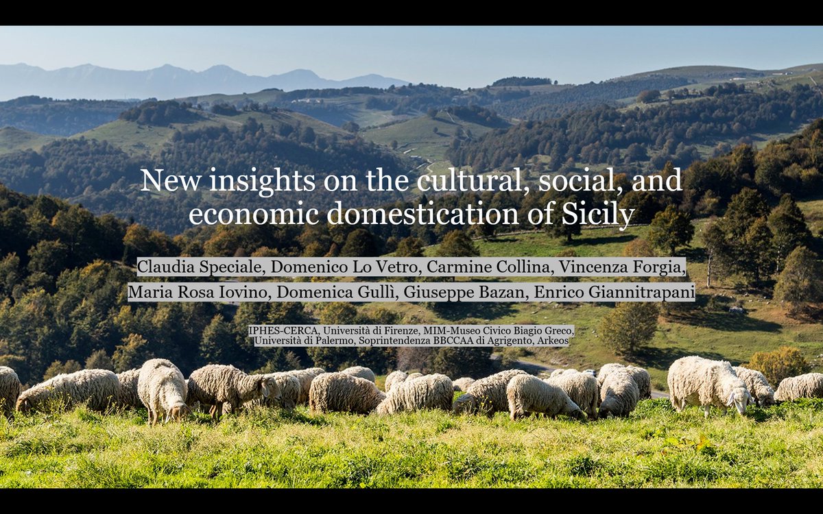 Claudia Speciale tweet media