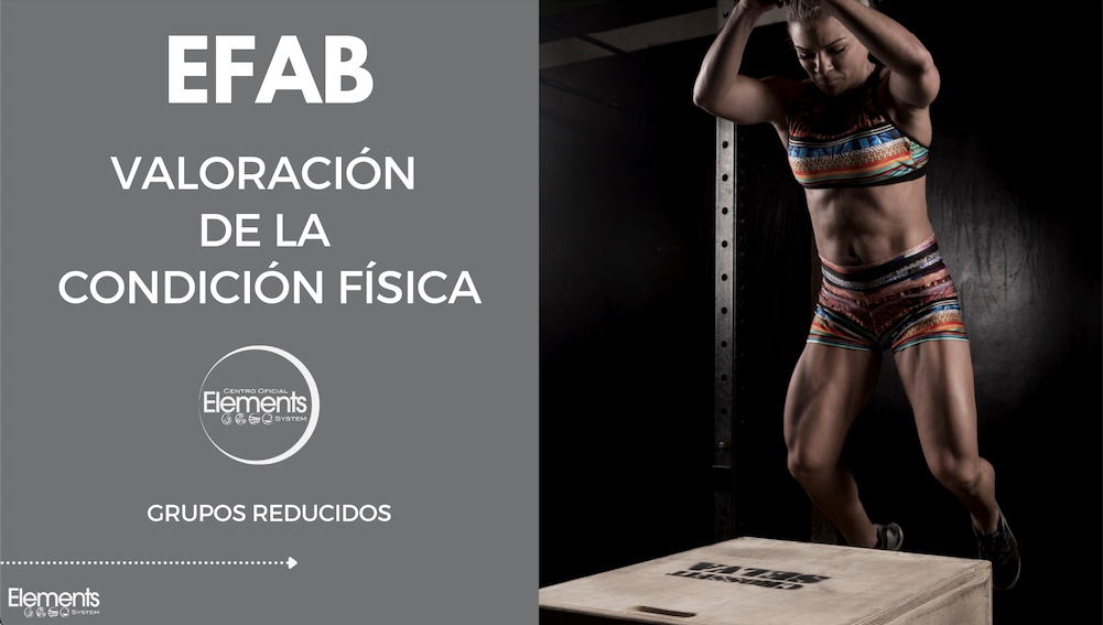 Gym_Factory's tweet image. El éxito de los centros boutique está en los detalles

Leer más: shorturl.at/6YYxl

#EFAB #ElementsSystem #fitness #Gimnasios