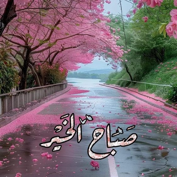 سبحان من تنفس الصبح بأمره، اللهم بك
أصبحنا وعليك توكلنا وإليك المصير 🌞🌟