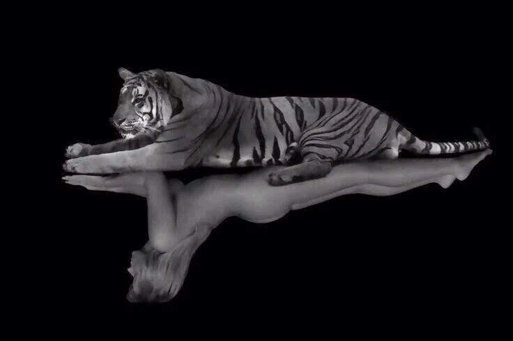 Vic D'Alba 🇲🇽🇲🇽 tweet media