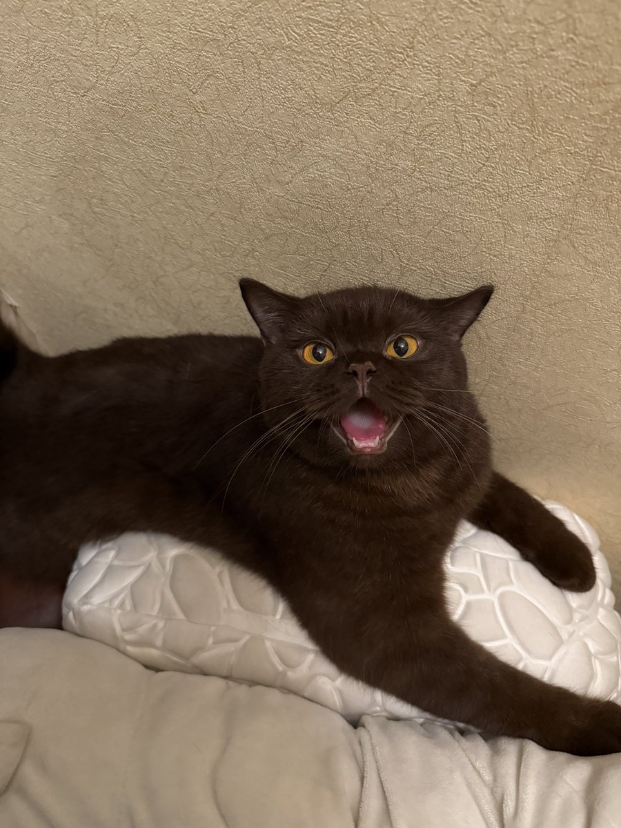 ไม่อ้วน มุมกล้อง