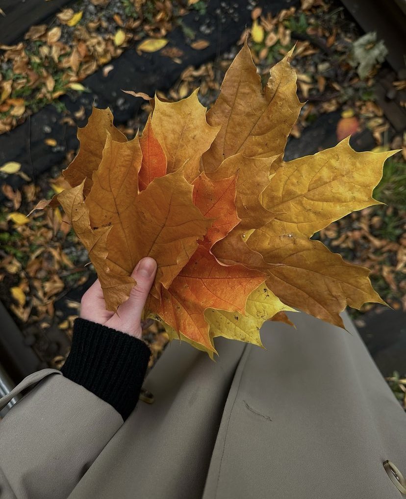 fatom911M's tweet photo. 🤍
↓˓❁⸀ء 
 ↴ ❁ - 

♪
" 

الصـباح اللي يجيبك جعل يبطي يومه
أنت قل لي: يا صباح النور وأزهل يومي

 ،✿˓⸀⿻

     صوتك في بداية صباحيّ أول رضا لقلبيّ ❤️

       ┈┈┉✿•༻🤍༺✿┉┈┈
      #ـ̲̲فطـ̲̲وم ↴❥ا..◝🍓◟ https://t.co/ySazNZbICh