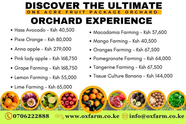 With the rainy season just around the corner, now is the perfect time to plant fruit trees and take full advantage of nature’s provision of water. . 

Contact Us On
0706222888  
wa.me/254706222888

Email: info@oxfarm.co.ke
Don’t miss out on this amazing opportunity.