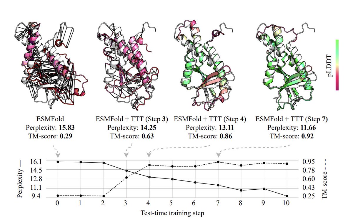 Can machine learning models adapt to individual proteins in real-time to improve their prediction accuracy across different protein-related tasks? <a href="/CVUTPraha/">ČVUT v Praze</a> <a href="/arxiv/">arXiv.org</a> 

"Training on test proteins improves fitness, structure, and function prediction"

• Machine learning models in