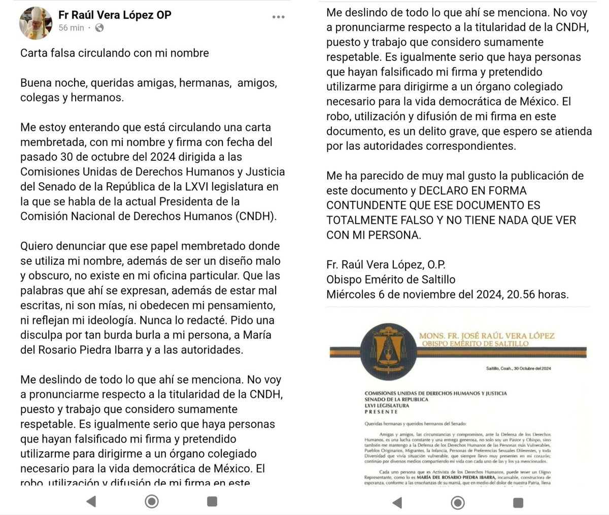 Juan Ortiz 🗳️👁‍🗨 on X: "🗳️📌ROSARIO PIEDRA PRESENTÓ CARTA FALSA PARA  BUSCAR REELECCIÓN EN LA CNDH La actual presidenta de la Comisión Nacional  de los Derechos Humanos (CNDH) presentó una carta apócrifa
