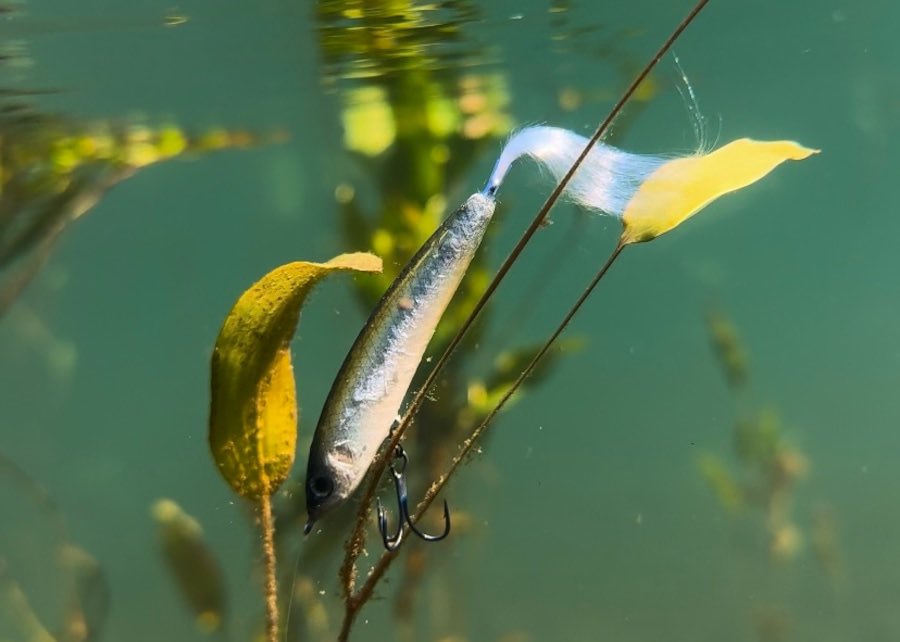 フレッシュベイトルアーズ｜Fresh Bait Lures (@FreshBaitLures