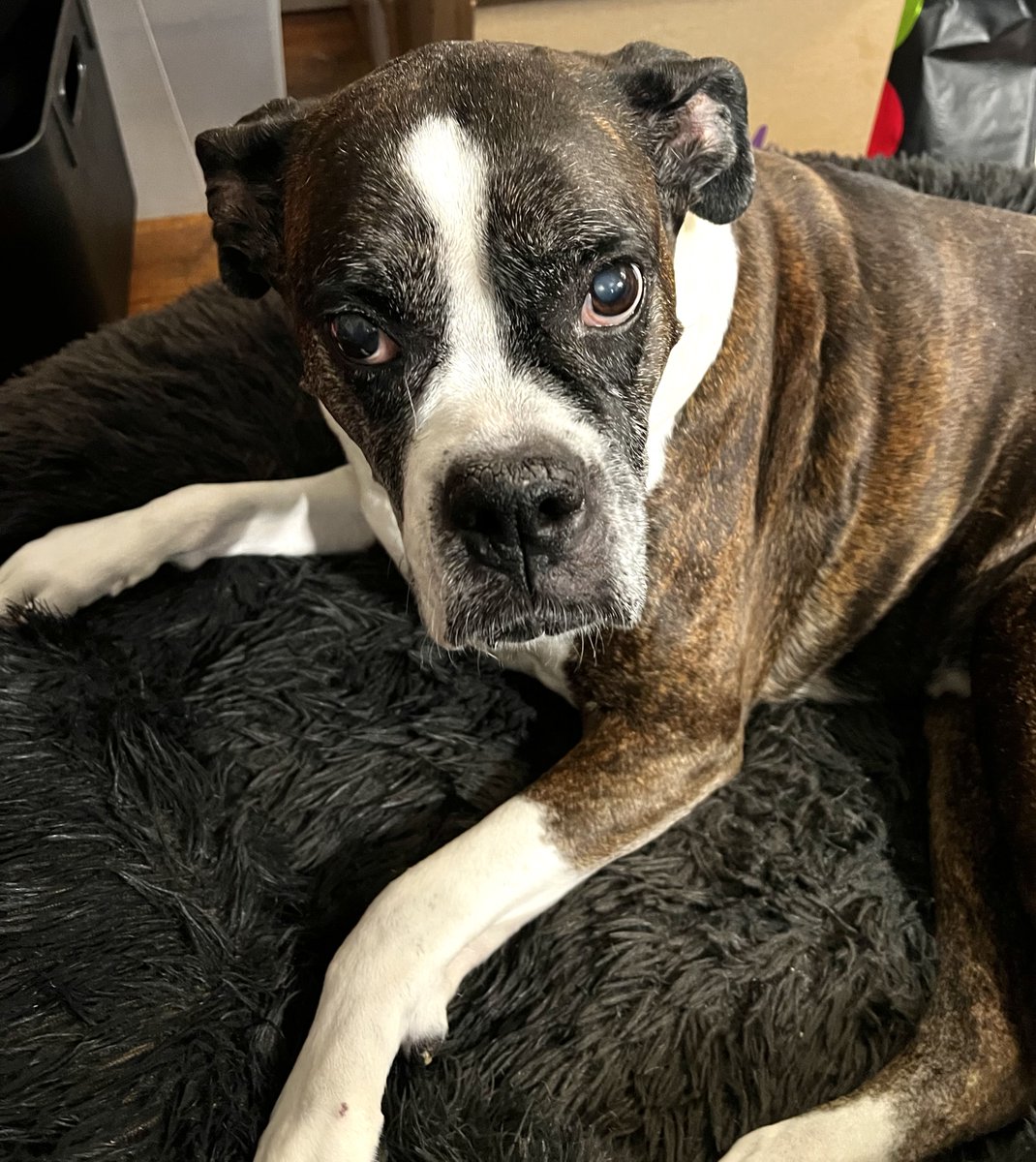 Dee Sadler 🇺🇸 friend to 🏳️‍🌈 tweet media