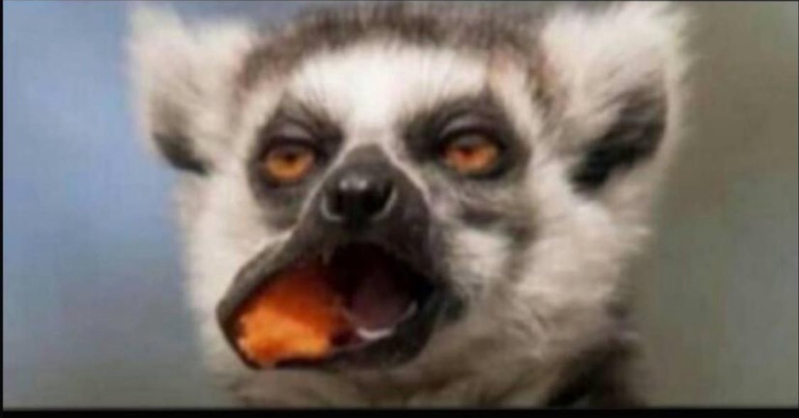 class_captain00's tweet image. Parents: kuwete eshi tagu lyaagana go inagulalamo megubo😡

Her👇: Shimoni I fink I have a  pregnant 4 you😩