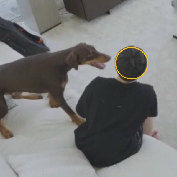 Then explain this.