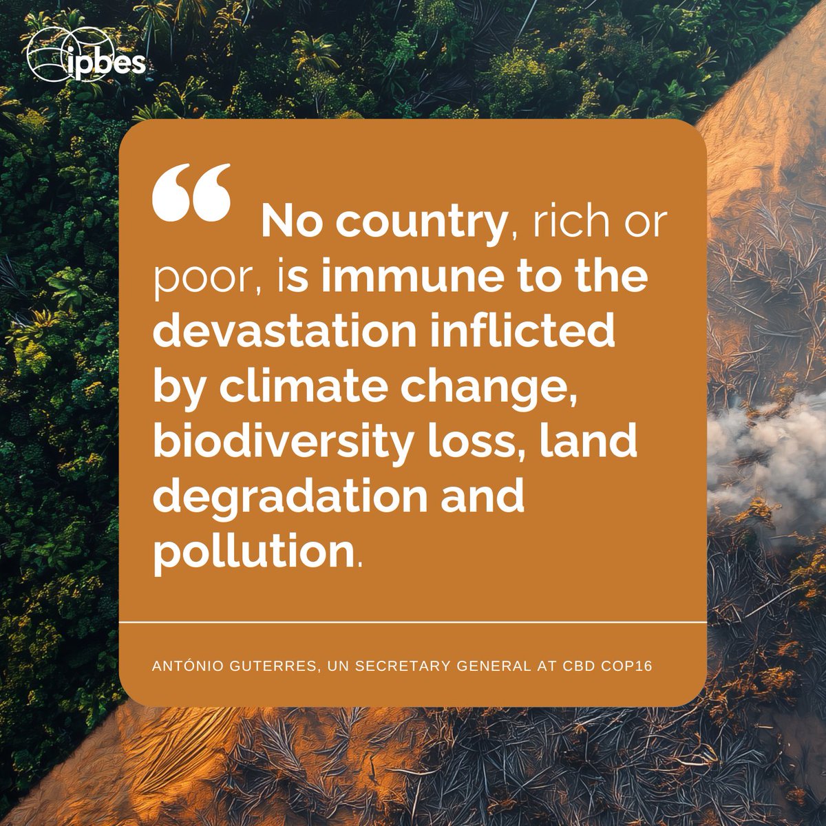 IPBES's tweet image. #Biodiversity loss &amp;amp; #ClimateChange are interconnected crises without borders.

They devastate ecosystems &amp;amp; livelihoods, threaten human health and undermine sustainable development.

—@antonioguterres, @UN SG at @UNBiodiversity  #COP16

Tackling both together is crucial.🌡️🦋💡