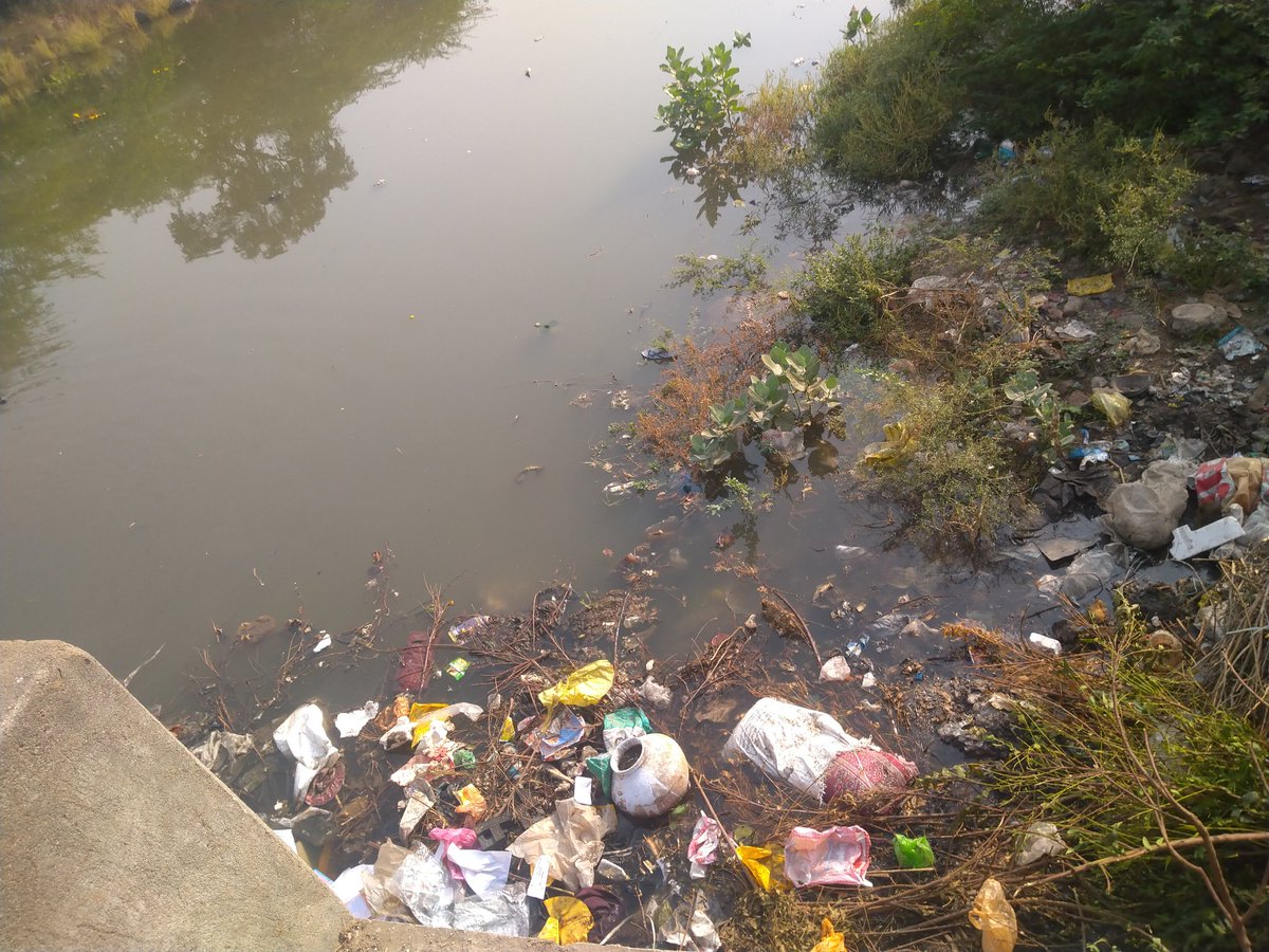 WordsVanditaa's tweet photo. This river - the Rewa river that runs through my native village Bhanpura used to be crystal clear until 1993. So much so that my dad, his brothers and my grandfather used to be swim and bathe in it.This river runs near the temples of the village. (1/5) https://t.co/eVo48CJGM8