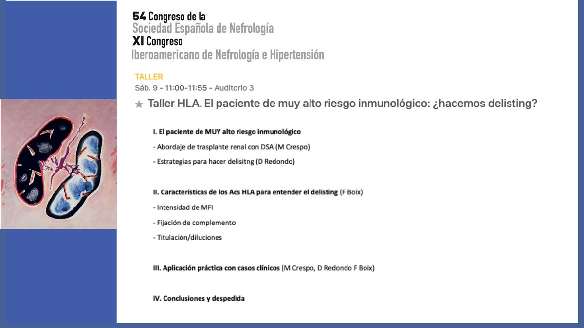 S.E.N. Nefrología (@senefrologia) on Twitter photo 📍Taller HLA. El paciente de muy alto riesgo inmunológico, en #senefro24, gracias al grupo de trabajo <a href="/SENTRAsplante/">SENTRAsplante</a> 👏👏
¿Cuándo? sábado 9 nov (11-11:55h) auditorio 3
congresosen.com/2024/programa-… <a href="/MCrespoBarrio/">Marta Crespo Barrio</a> 📍Taller HLA. El paciente de muy alto riesgo inmunológico, en #senefro24, gracias al grupo de trabajo <a href="/SENTRAsplante/">SENTRAsplante</a> 👏👏
¿Cuándo? sábado 9 nov (11-11:55h) auditorio 3
congresosen.com/2024/programa-… <a href="/MCrespoBarrio/">Marta Crespo Barrio</a>