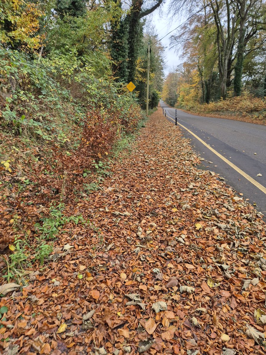 Right foot forward #autumn2024