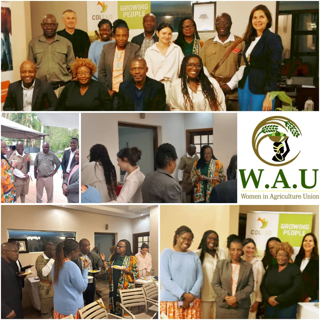 wauvirtuouswome's tweet photo. I'm thrilled to have represented Women in Agriculture Union (WAU) at the COLEAD meet and greet meeting in Harare!

#FemaleForce
#WomenInAgric
#COLEAD https://t.co/6QQ6mw0gtX
