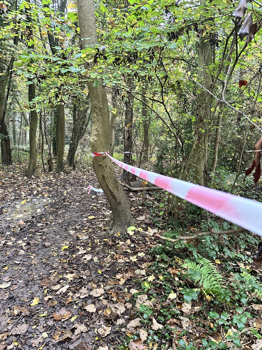 Croydon High Sport tweet media