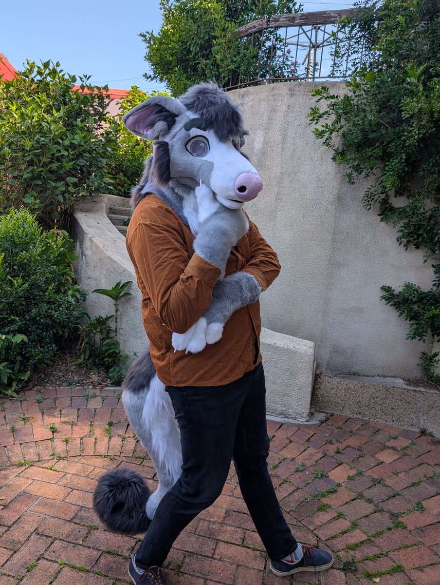 🐺✨Skyehighstudios✨🐺 tweet media