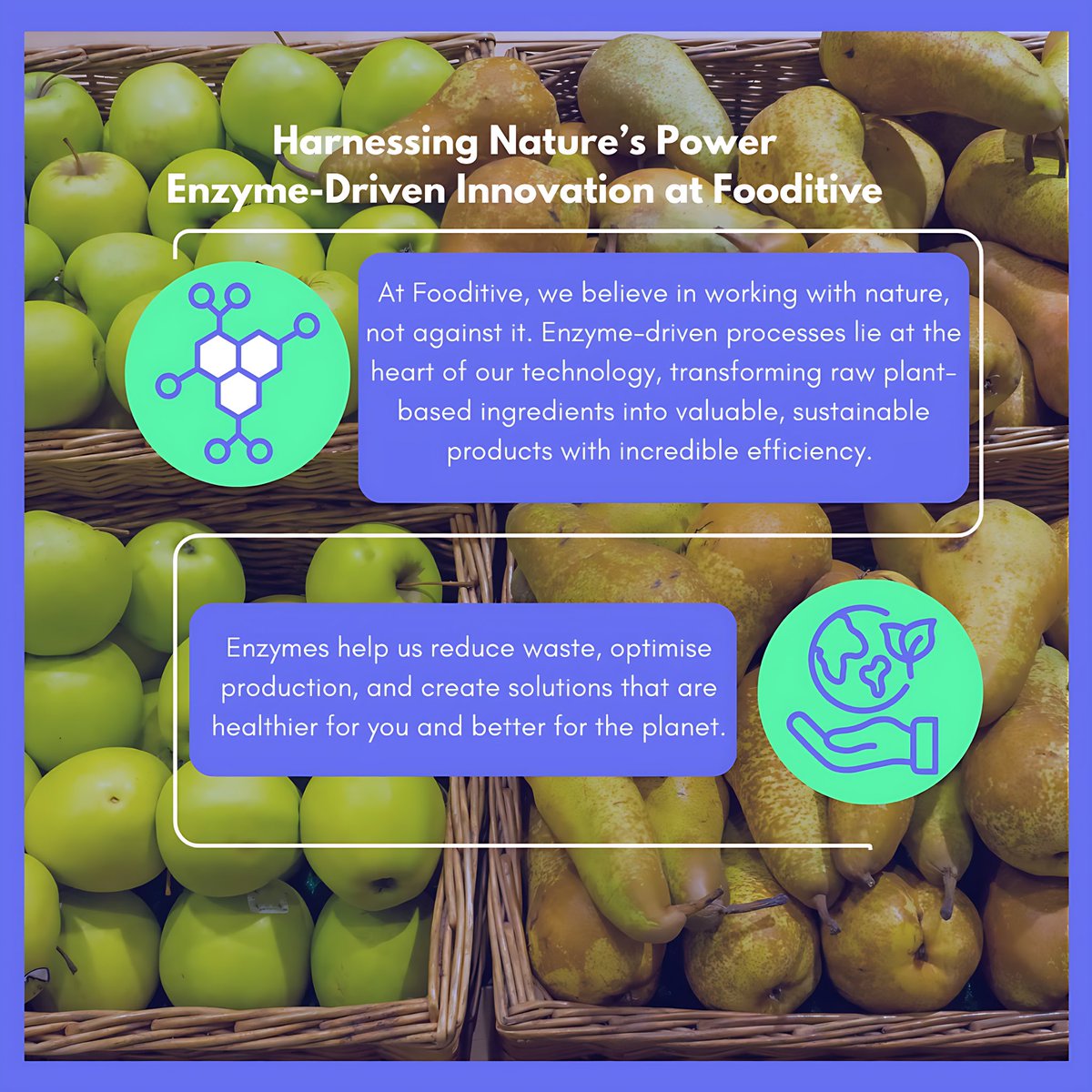 FooditiveGroup's tweet photo. we harness natural enzymes to transform ingredients into sustainable, plant-based solutions—cutting waste and building a better planet. 
🌍✨ Nature has the answers, and we’re unlocking them!

Want to learn more about this Reach out to us! 💬
(info@fooditivegroup.com) https://t.co/T2sRpK85IL