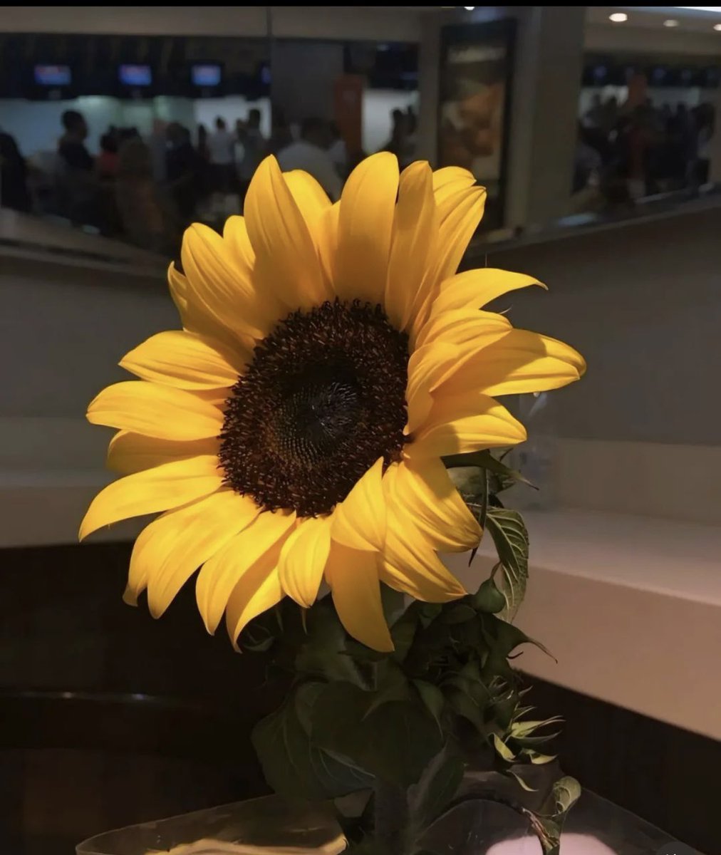 heart me🌻