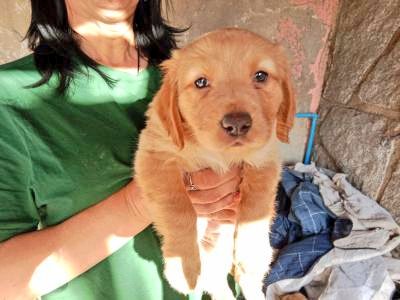 AnimalParaíso tweet media