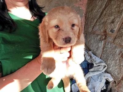 AnimalParaíso tweet media