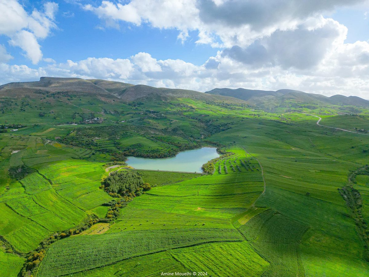 CarthageMagTN's tweet image. 🌎📍Oued Zitoun, Bizerte 🇹🇳💚  

One of the most stunning natural spots in northern Tunisia. Nestled in a picturesque mountainous area rich with greenery, especially olive trees that lend the valley its name, it offers a serene escape.