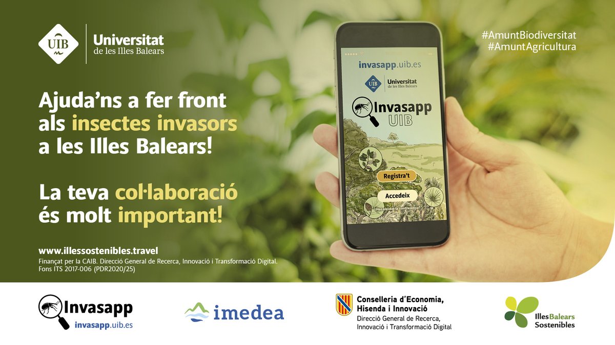Universitat de les Illes Balears - UIB (@uibuniversitat) on Twitter photo 🐞🐝 Ajuda'ns a fer front als insectes invasors a les Illes Balears!
1️⃣Descarrega <a href="/invasapp/">Invasapp (UIB-IMEDEA)</a> per a Android 📲 o visita: invasapp.uib.es
2️⃣Fes una foto 📸 a l'insecte
3️⃣Afegeix tota la informació possible, especialment la ubicació📍
4️⃣Els investigadors rebran la teva 🐞🐝 Ajuda'ns a fer front als insectes invasors a les Illes Balears!
1️⃣Descarrega <a href="/invasapp/">Invasapp (UIB-IMEDEA)</a> per a Android 📲 o visita: invasapp.uib.es
2️⃣Fes una foto 📸 a l'insecte
3️⃣Afegeix tota la informació possible, especialment la ubicació📍
4️⃣Els investigadors rebran la teva