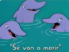 CooleraConnor's tweet photo. Los humedales viendo como quieren meter más cemento para "solucionar las inundaciones" https://t.co/N7uvZg1MZ9
