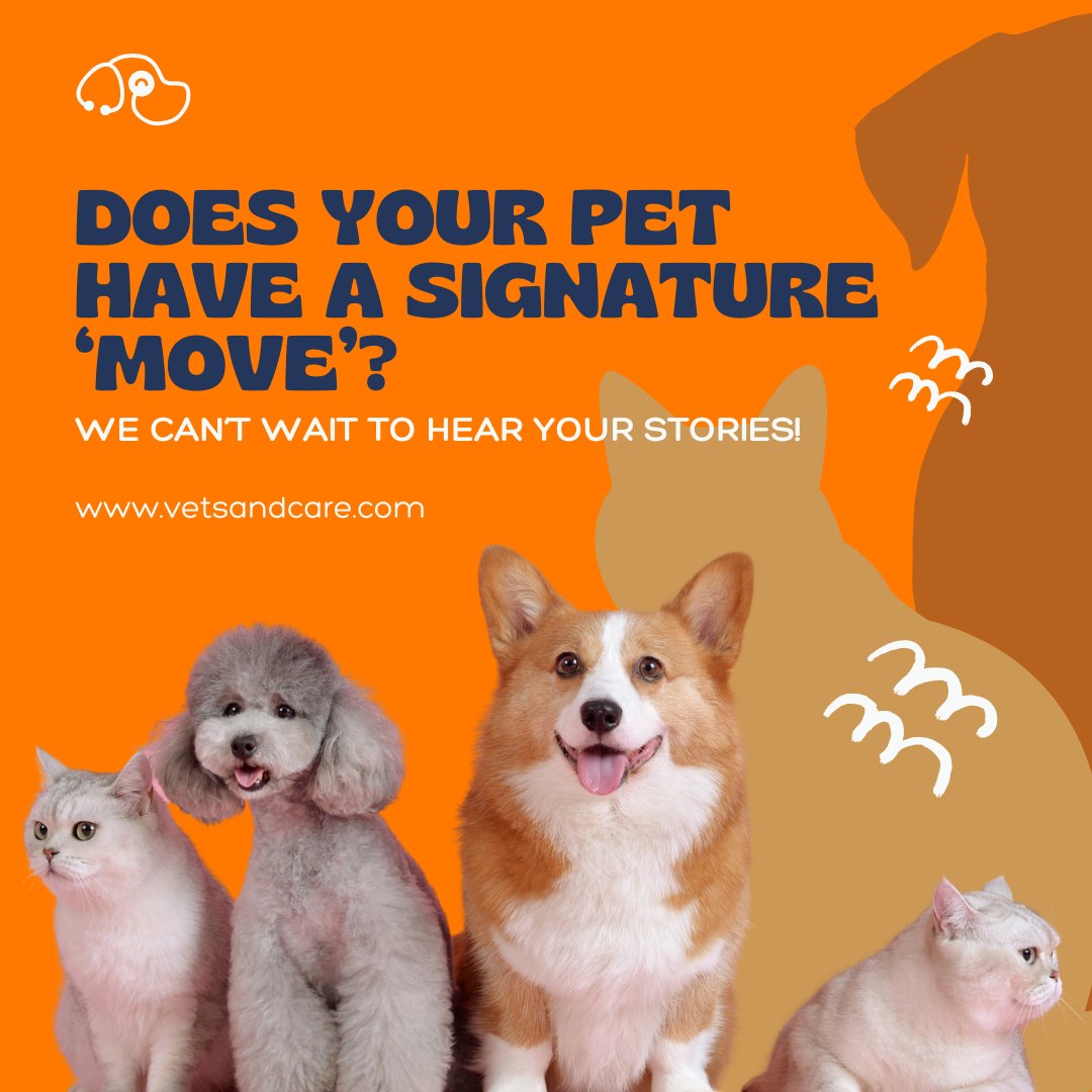 vetsncare's tweet image. 🐾 Does your pet have a signature move? Maybe it’s that special wiggle, a classic head tilt, or a funny little jump! 🐶🐱

Share your stories with us – we’d love to hear all about those unforgettable moments that make your pet one-of-a-kind! 💖🐾 

#VetsAndCare #PetStories