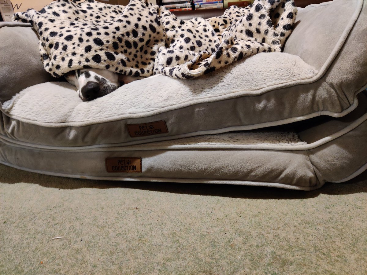 Mother of spots tweet media